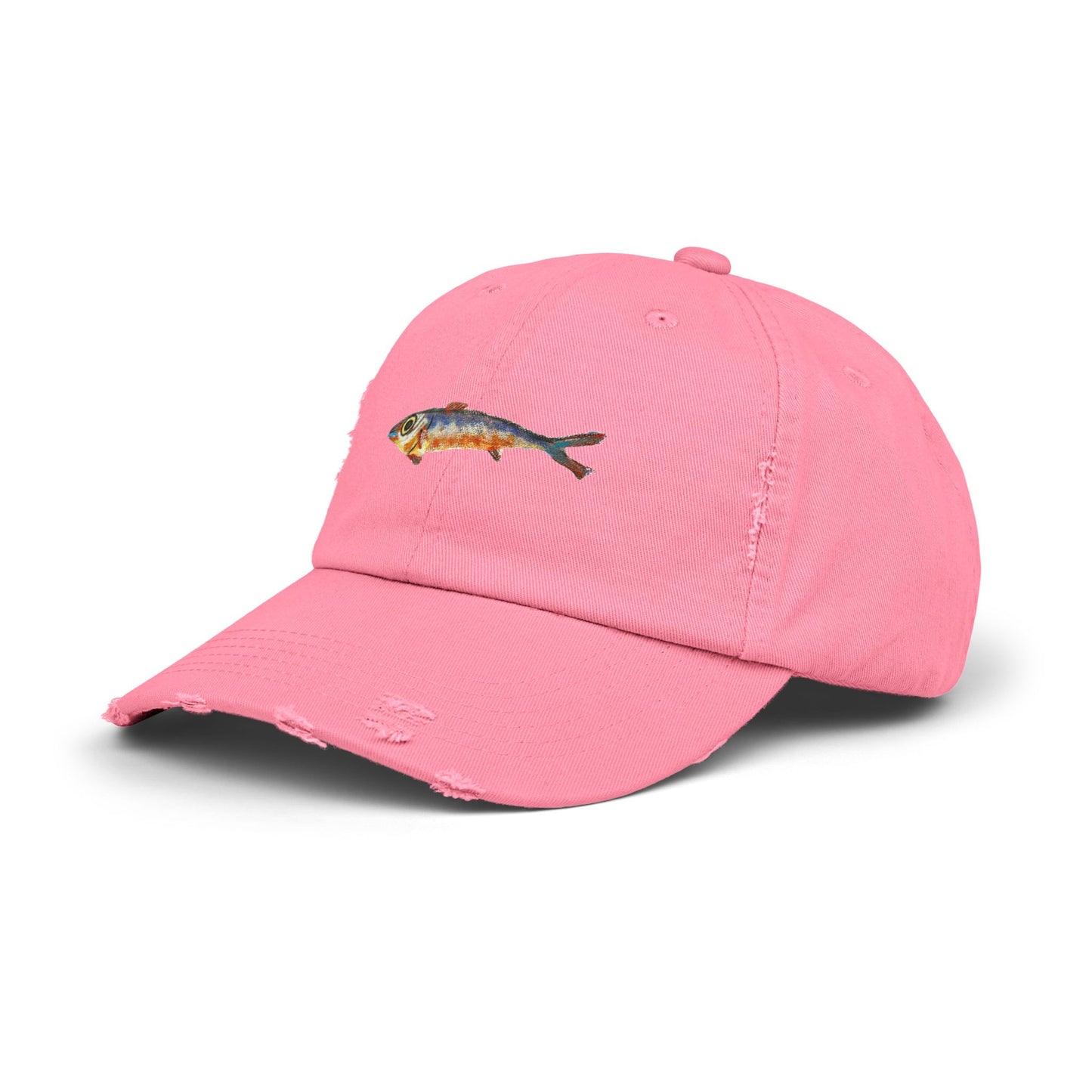 One Fish Unisex Distressed Cap