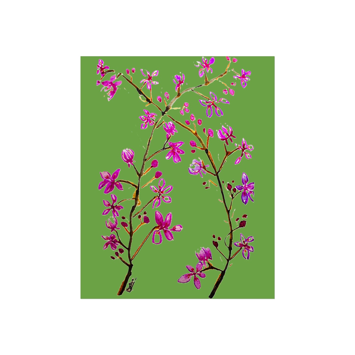 Spring Blossoms Giclée Fine Art Print