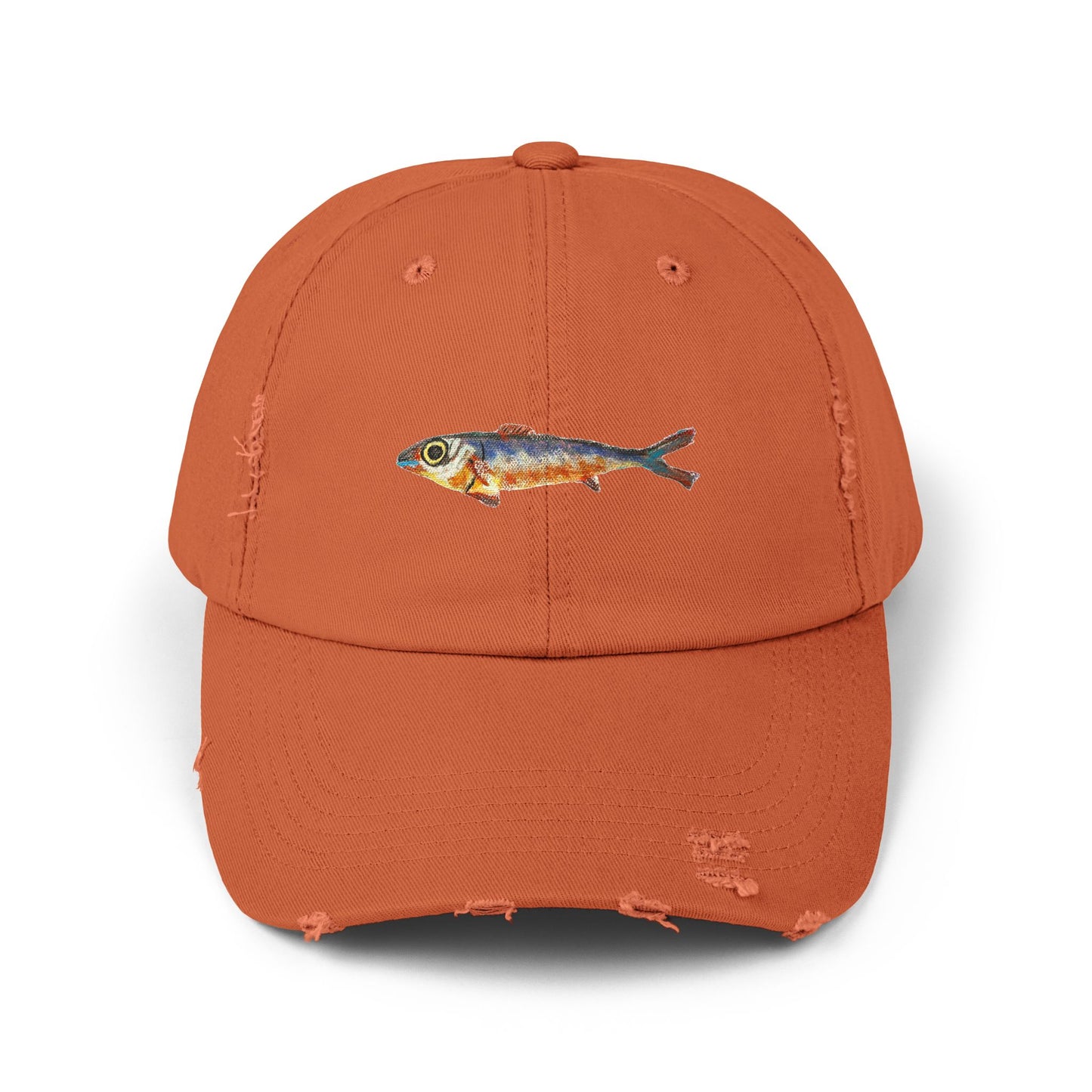 One Fish Unisex Distressed Cap