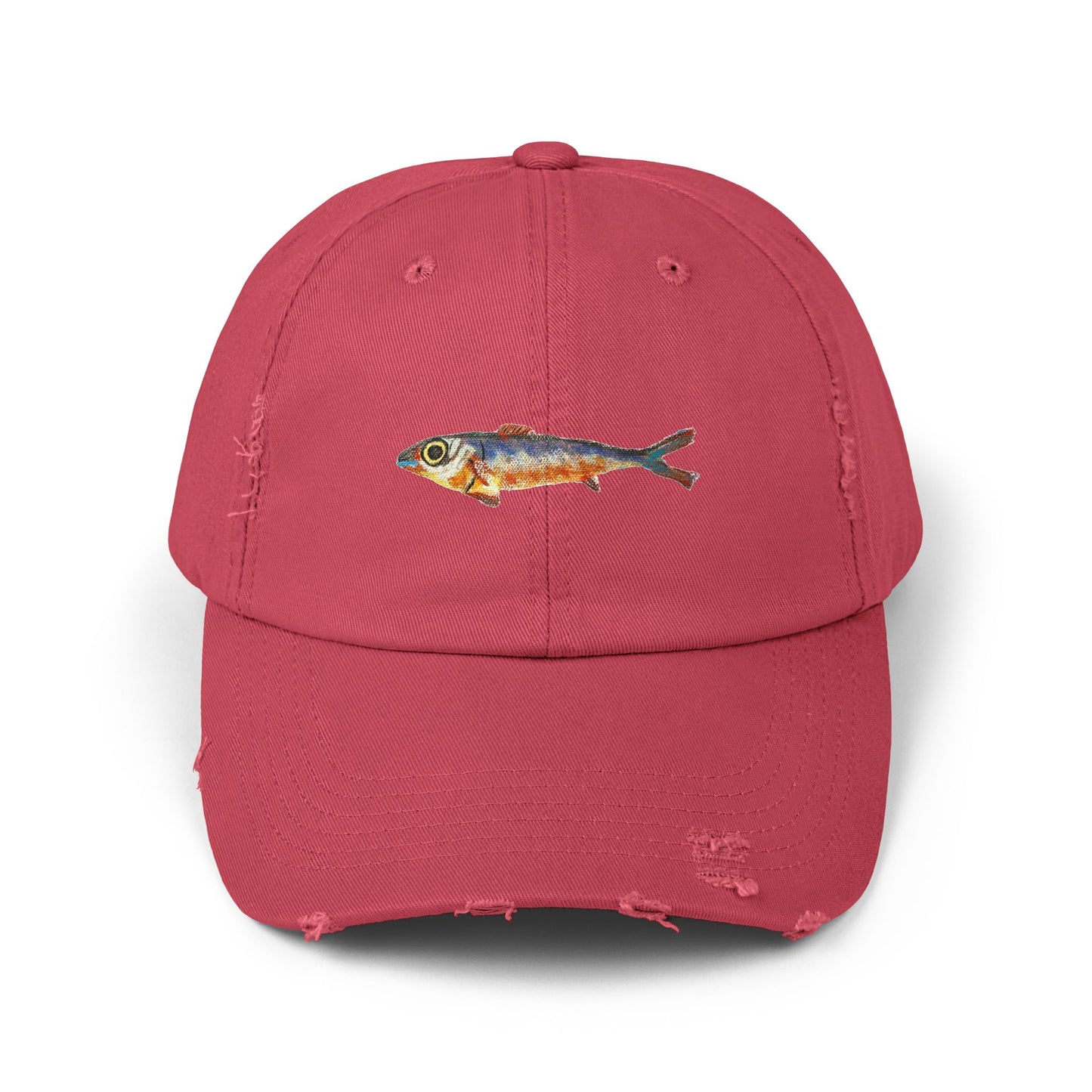 One Fish Unisex Distressed Cap