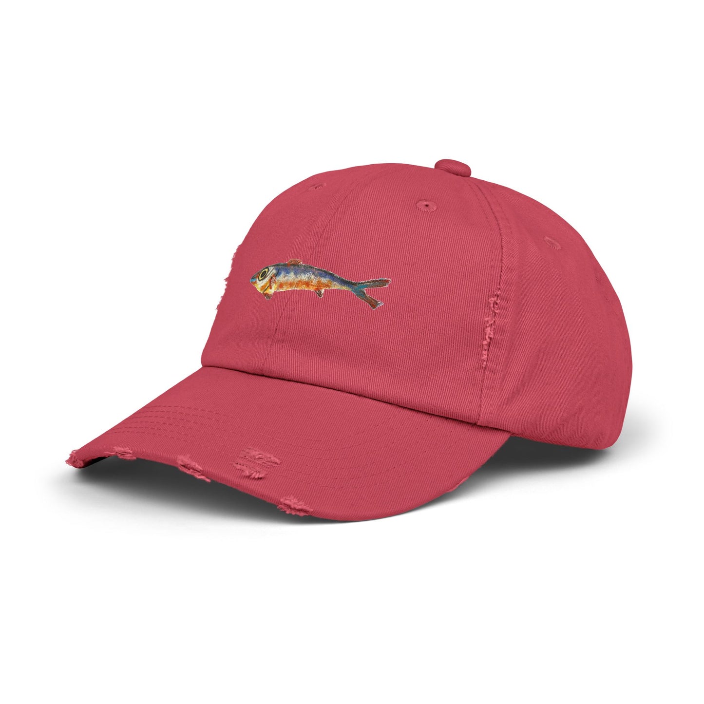 One Fish Unisex Distressed Cap