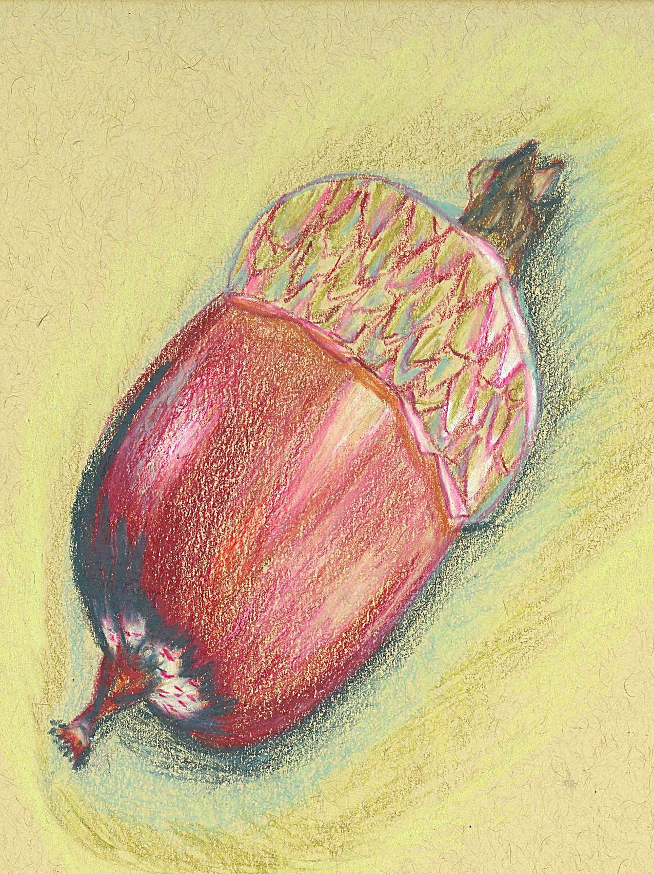 Vibrant Acorn an Original Painting by Lisa Godin