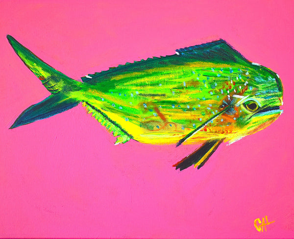 Colorful Animals