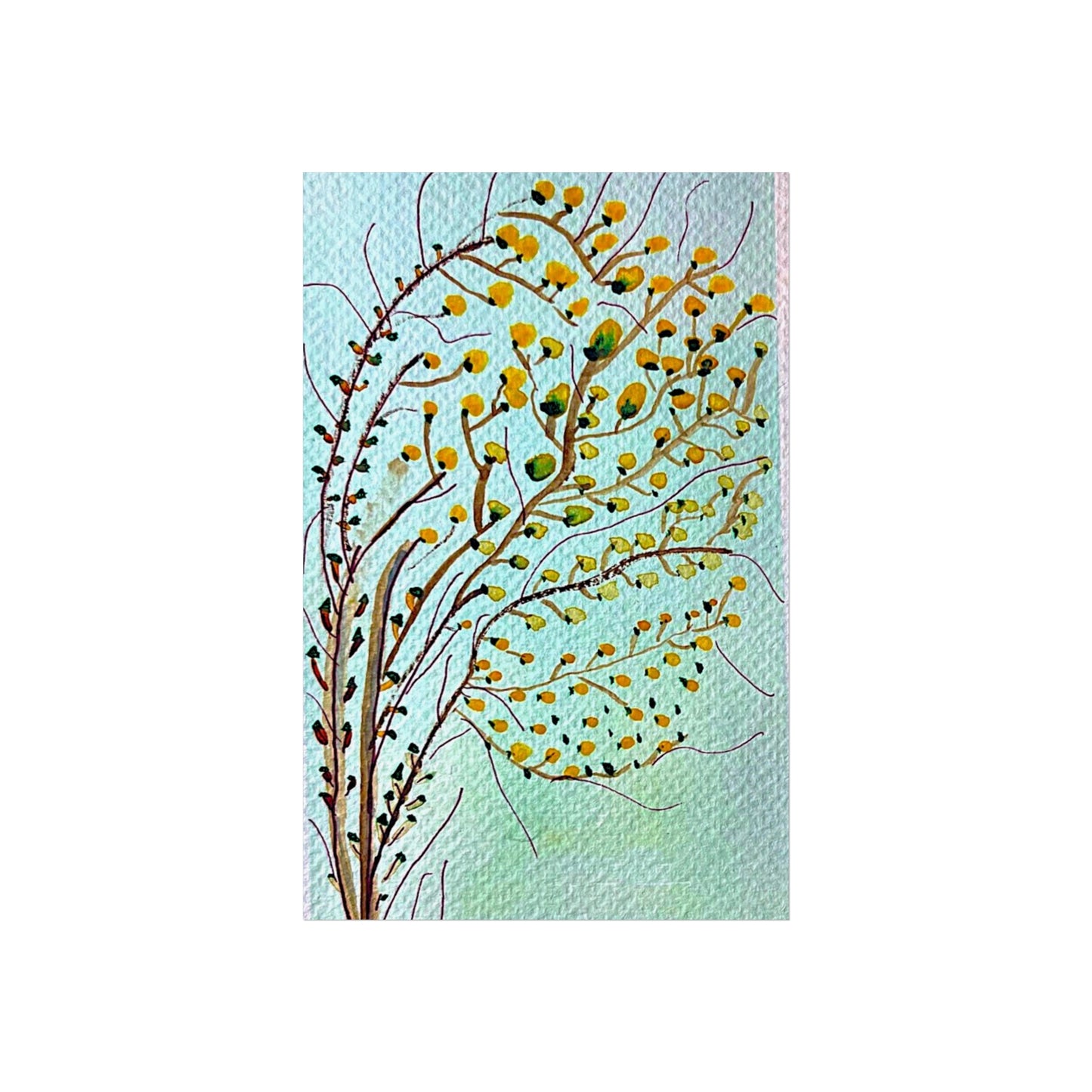 Hawthorn Berry Giclée Fine Art Print