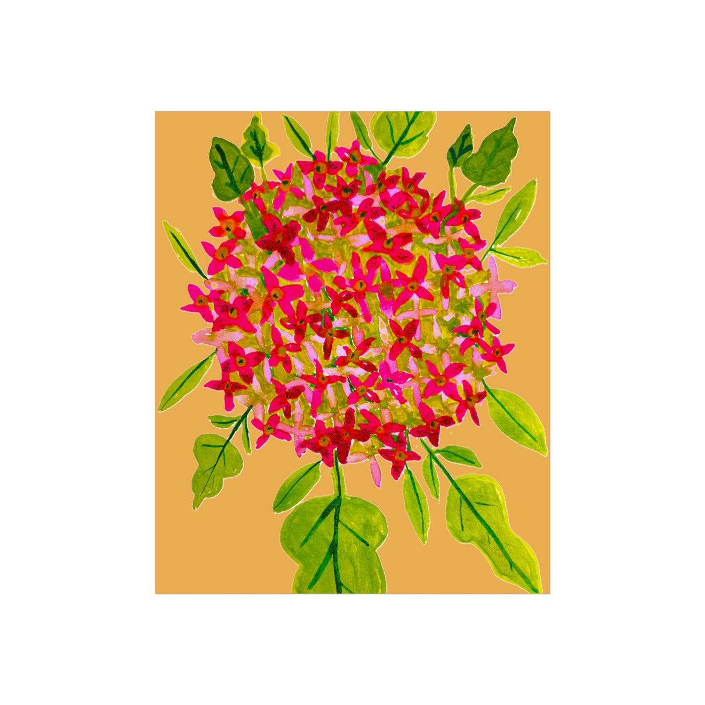 Hydrangea Stem Giclée Fine Art Print