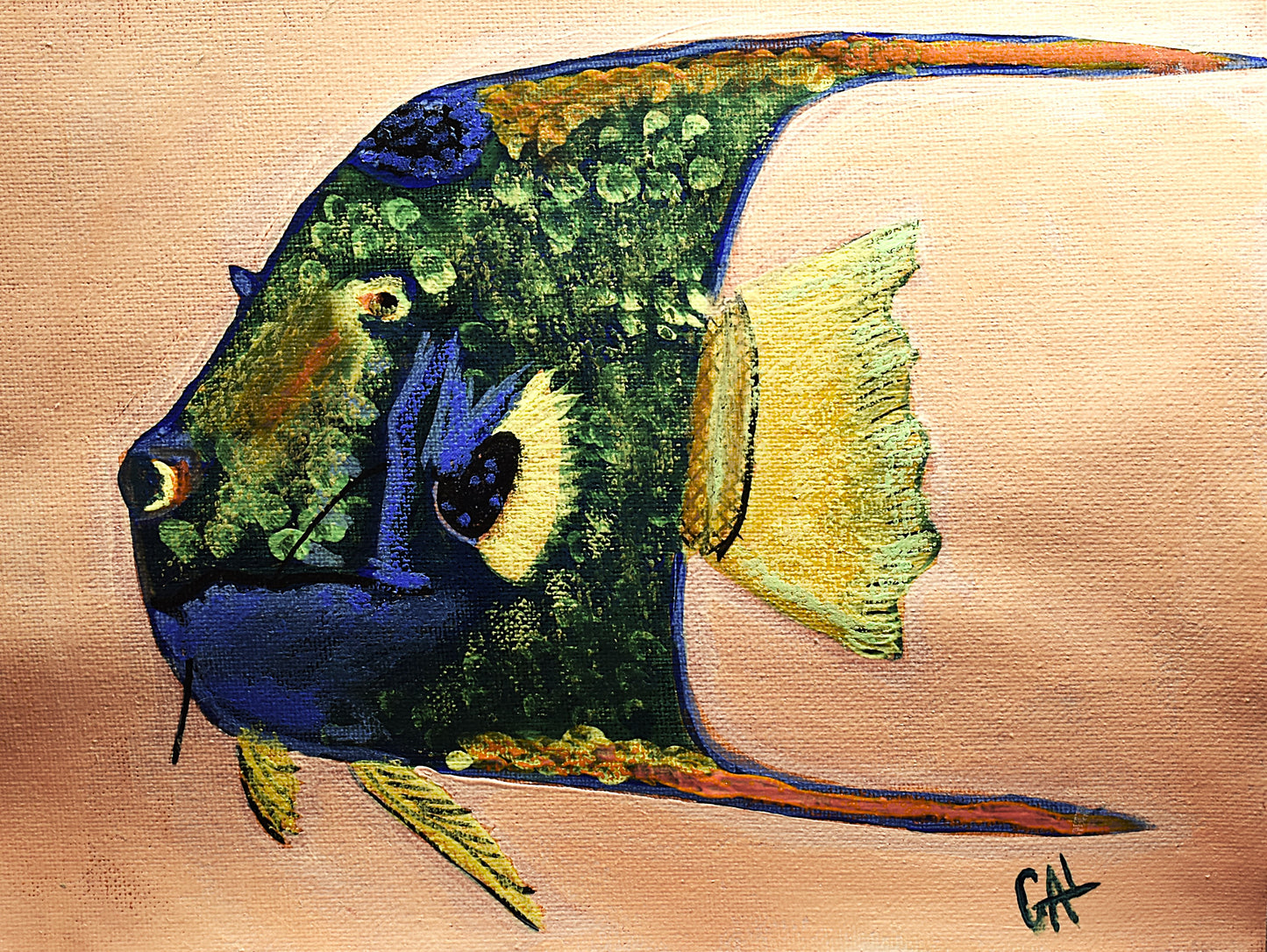 Angel Fish - Original mixed media painting by Lisa Godin