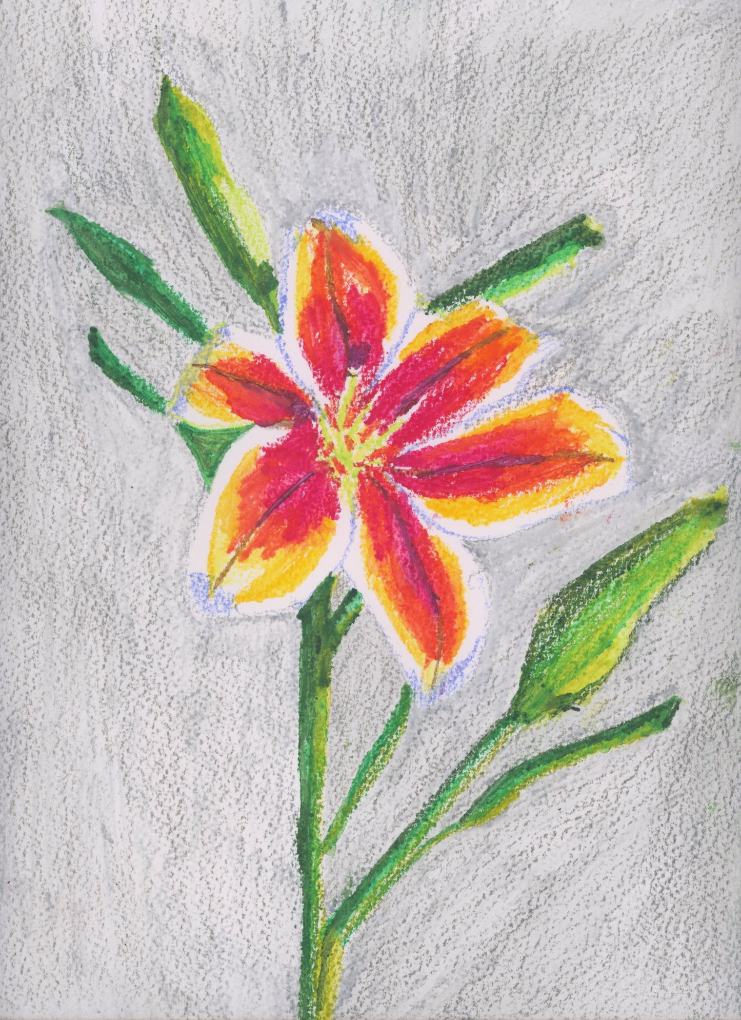 Asiatic Lily an Original Painting by Lisa Godin
