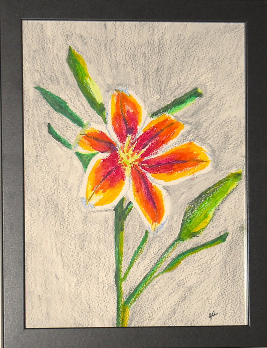 Asiatic Lily an Original Painting by Lisa Godin