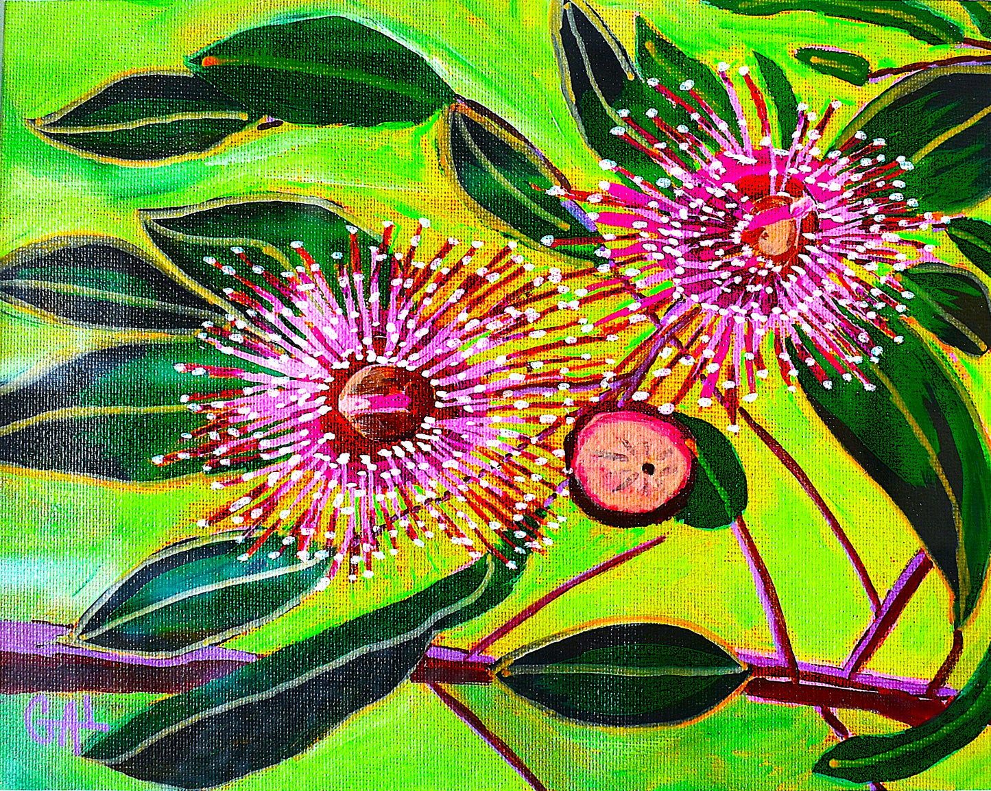 Flowering Gum - Original Acrylic Painting by Artist Lisa Godin