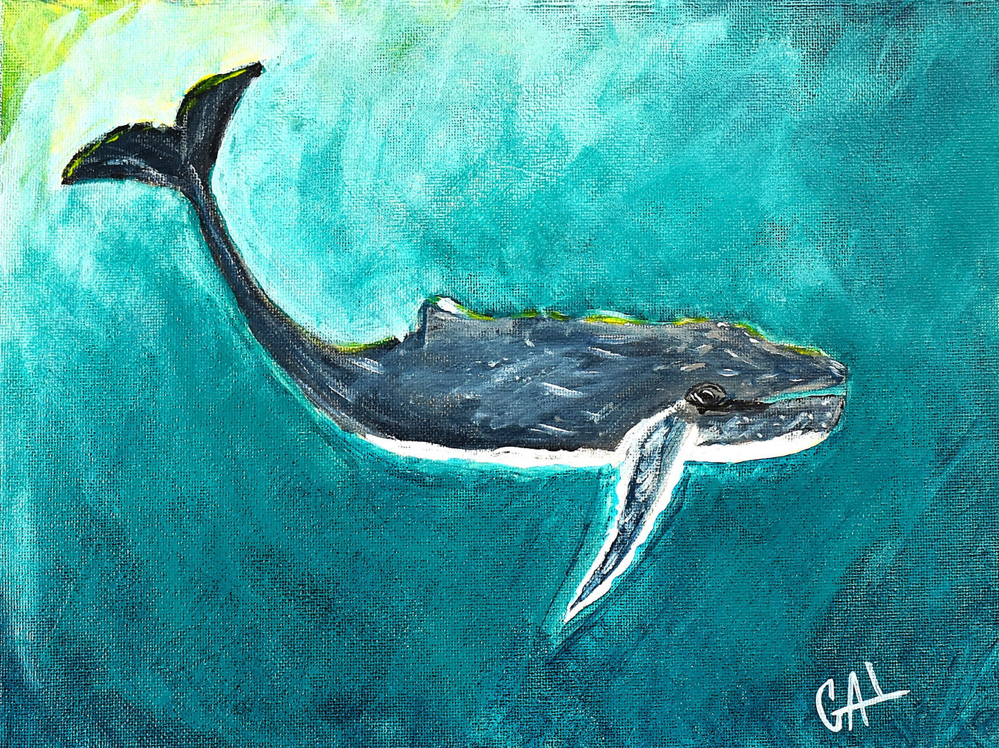 Humpback Whale - Original mixed media painting by Lisa Godin