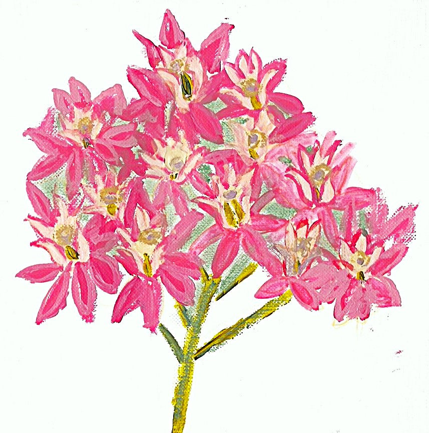 Swamp Milkweed - Original Acrylic Painting by Lisa Godin