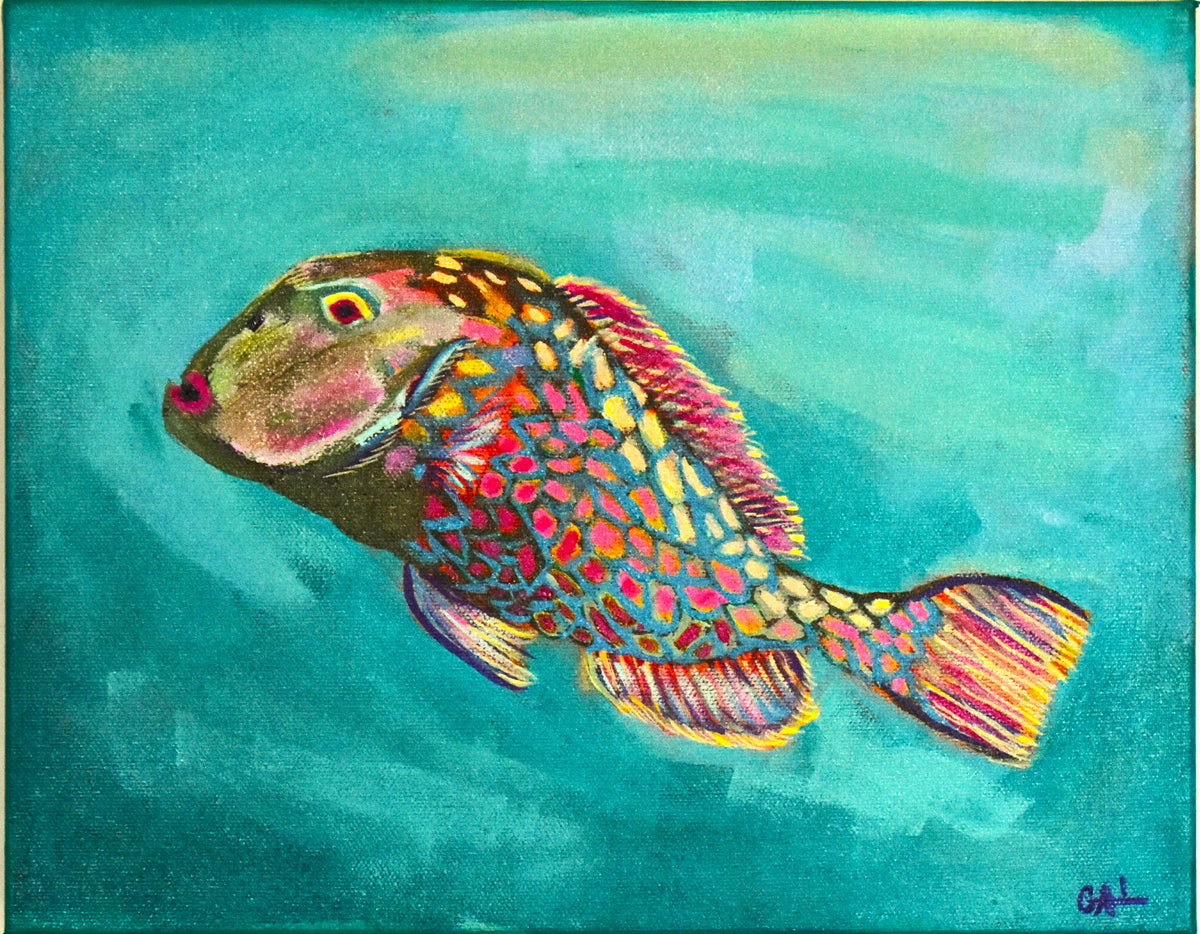 Vibrant Parrot Fish an Original Painting by Lisa Godin